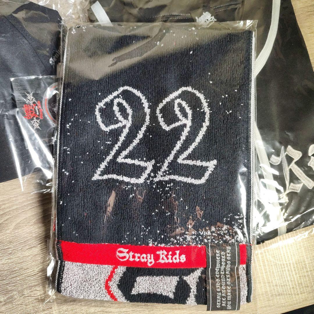 Stray Kids グッズ (Seungmin) スンミン その他 4点セット