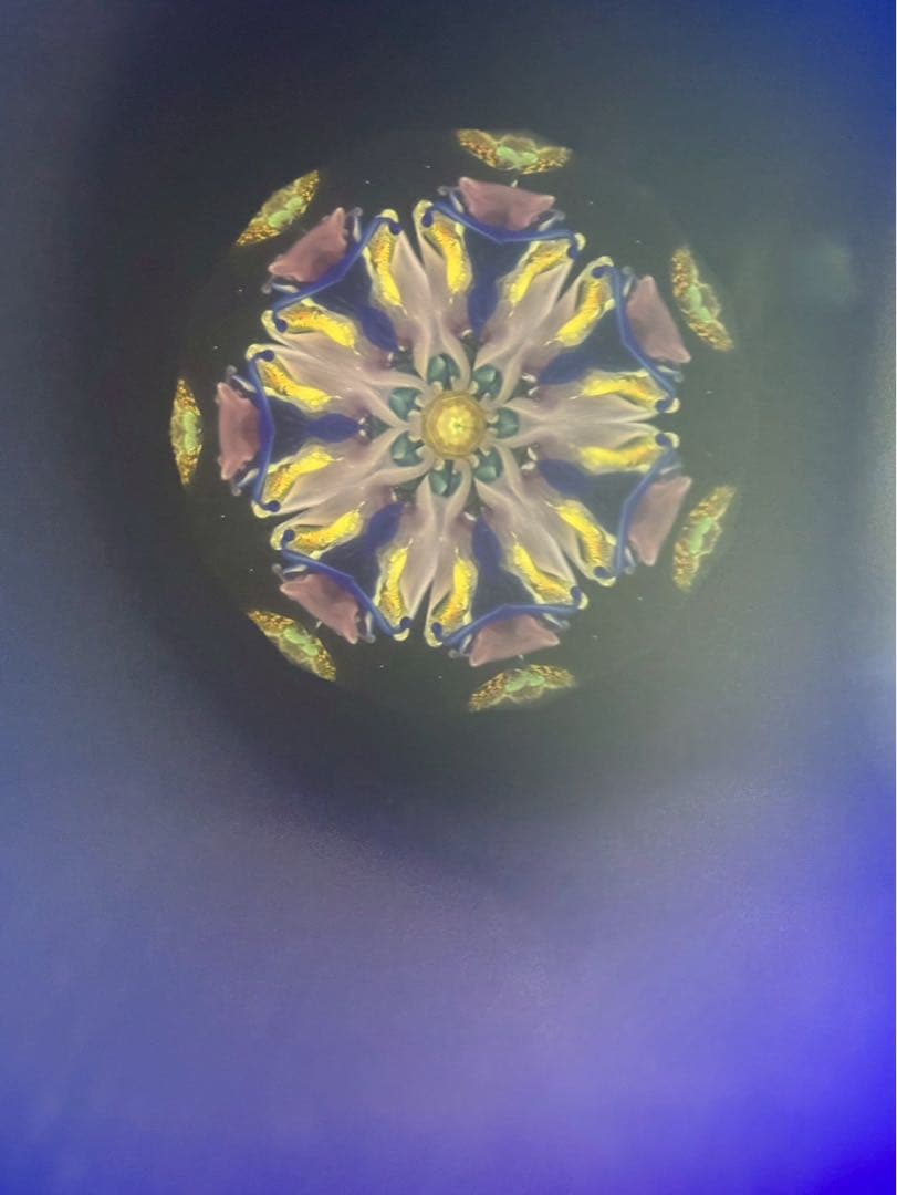 ペギー&スティーブ・キティルソン　オイル万華鏡