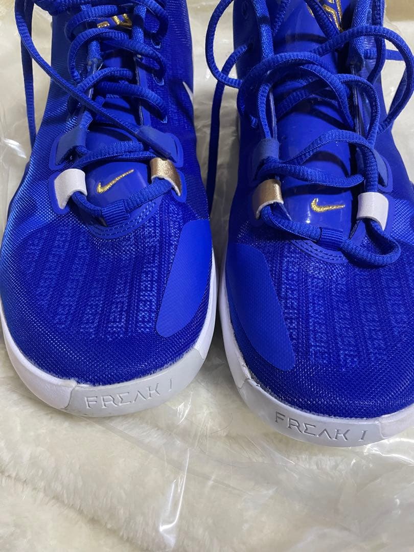 完売モデル ナイキ ズーム フリーク1 ギリシャ