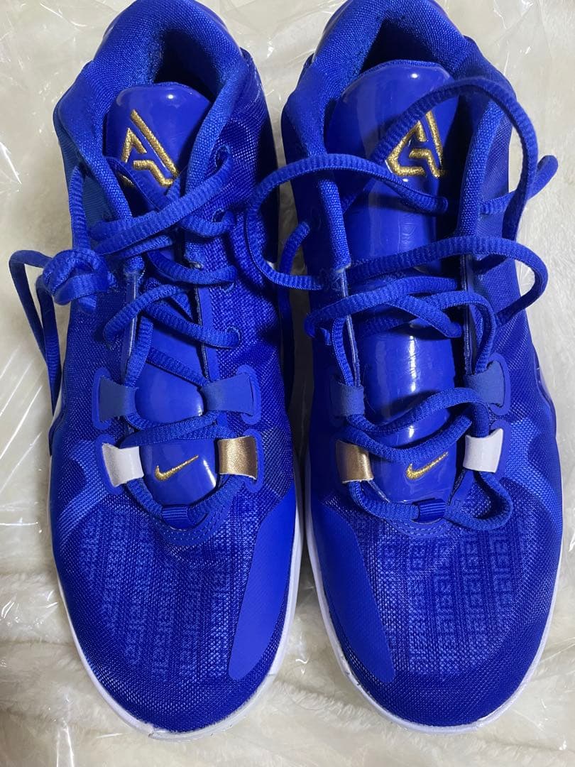 完売モデル ナイキ ズーム フリーク1 ギリシャ