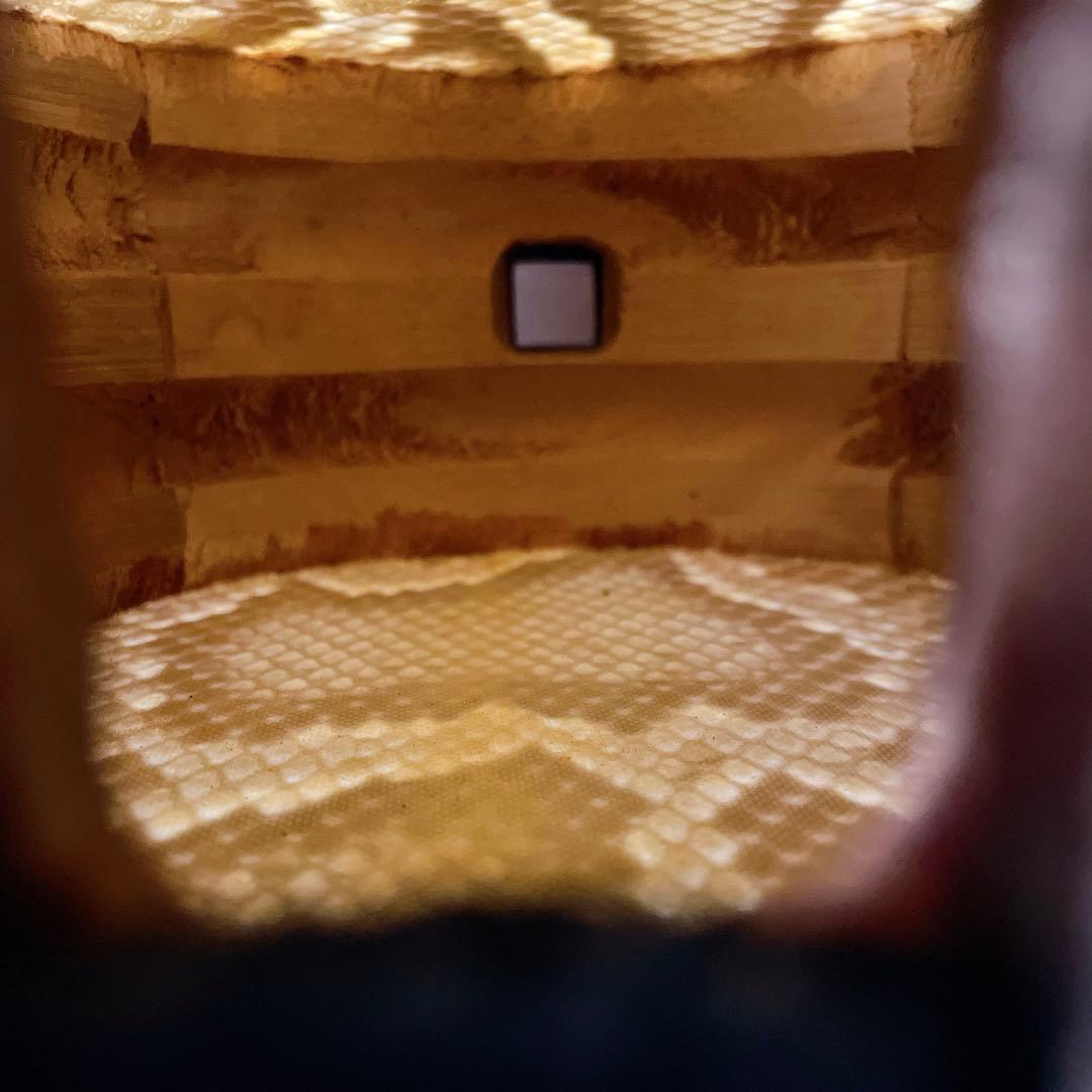 【美品】沖縄三線 本革 蛇柄 強化張り 沖縄三味線 和楽器 ソフトケース