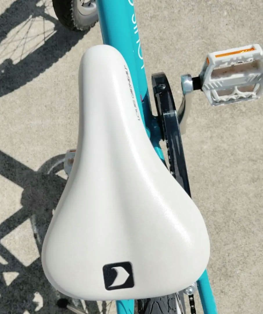 ☆引き渡し限定☆ルイガノ クロスバイク 自転車 子供 20インチ