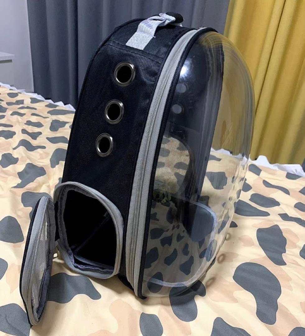 透明キャリーバッグ 中型 猫用