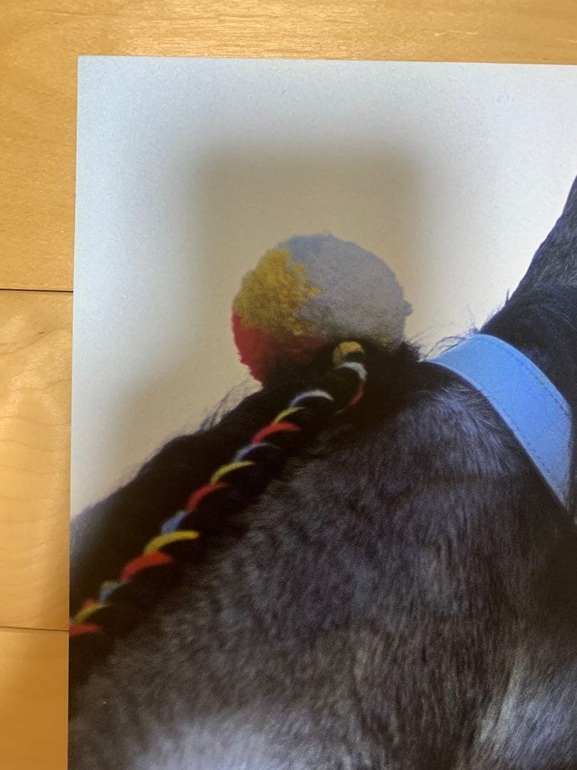 ヒーロー列伝　初期　オグリキャップ　シルバー　　B3 ポスター　JRA