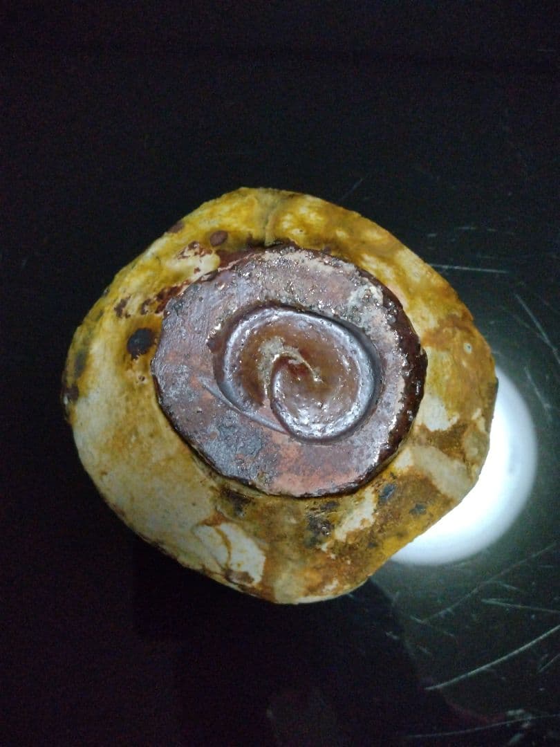 【備前焼 茶碗⑤】備前土釉薬茶碗／伝統工芸士 森本 桂／送料込み！