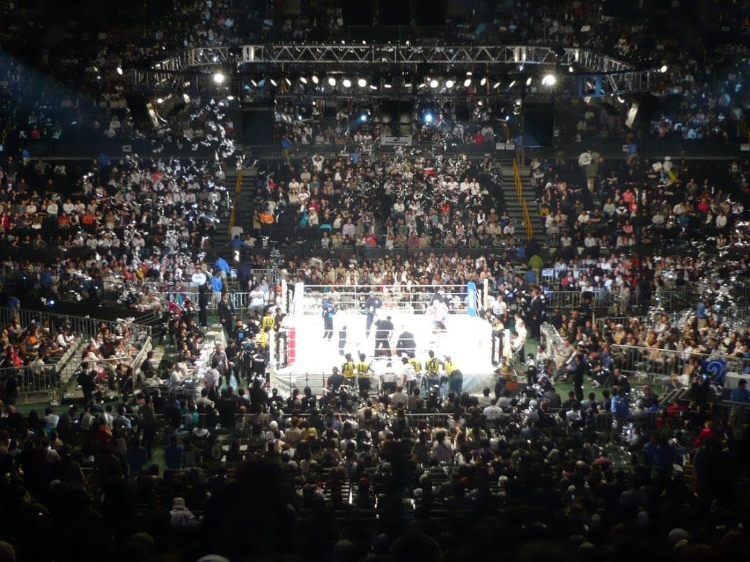 【激レア】PRIDE・UFC ヴァンダレイ・シウバ　サイン入りフィギア