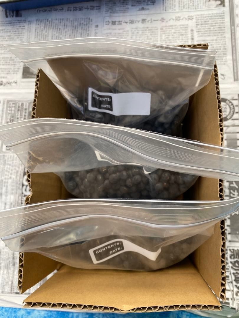 令和７年産　丹波篠山産黒大豆（丹波黒）Ｌサイズ　３ｋｇ