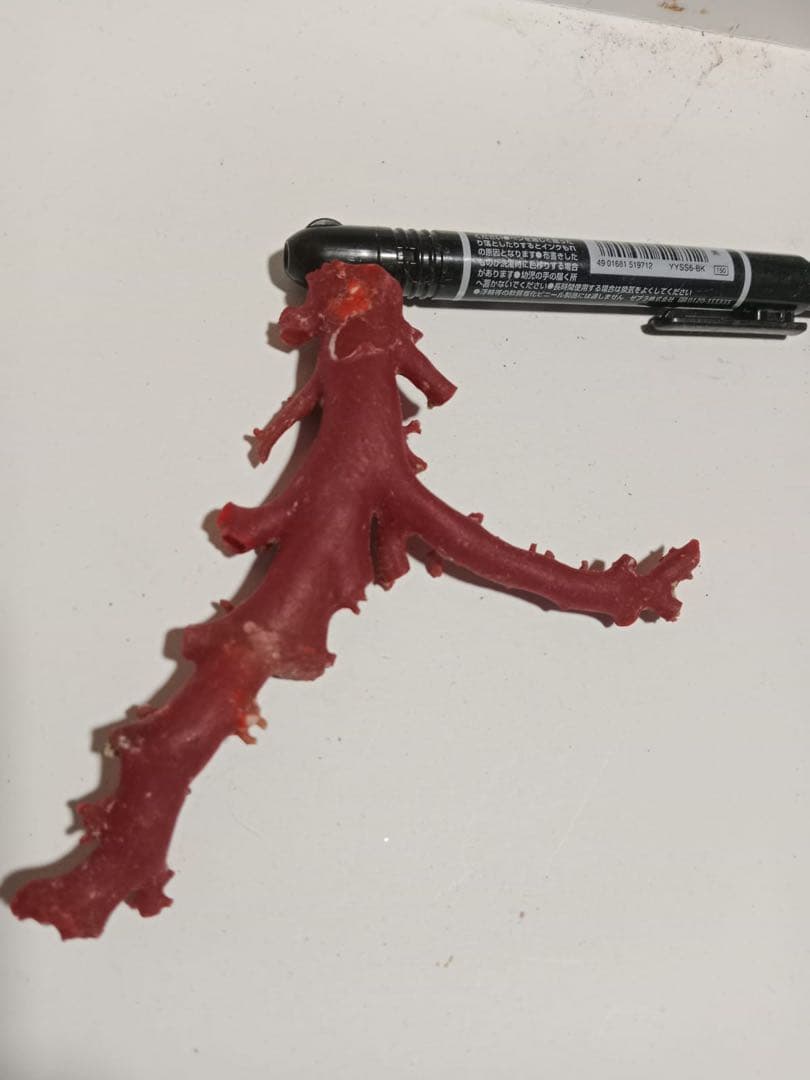 赤いさんご枝状陶芸品 52.9g