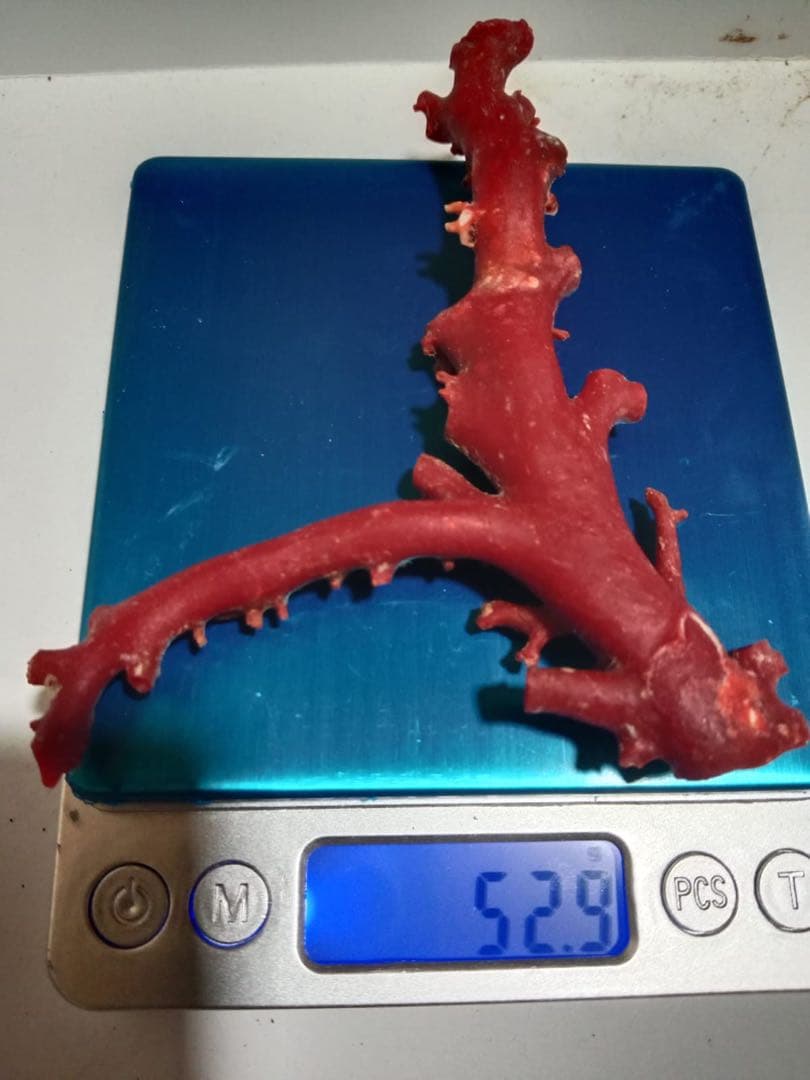 赤いさんご枝状陶芸品 52.9g