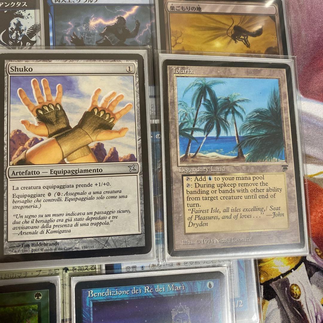 EDH 有翼の叡智、ナドゥ 必須パーツ 13枚セット