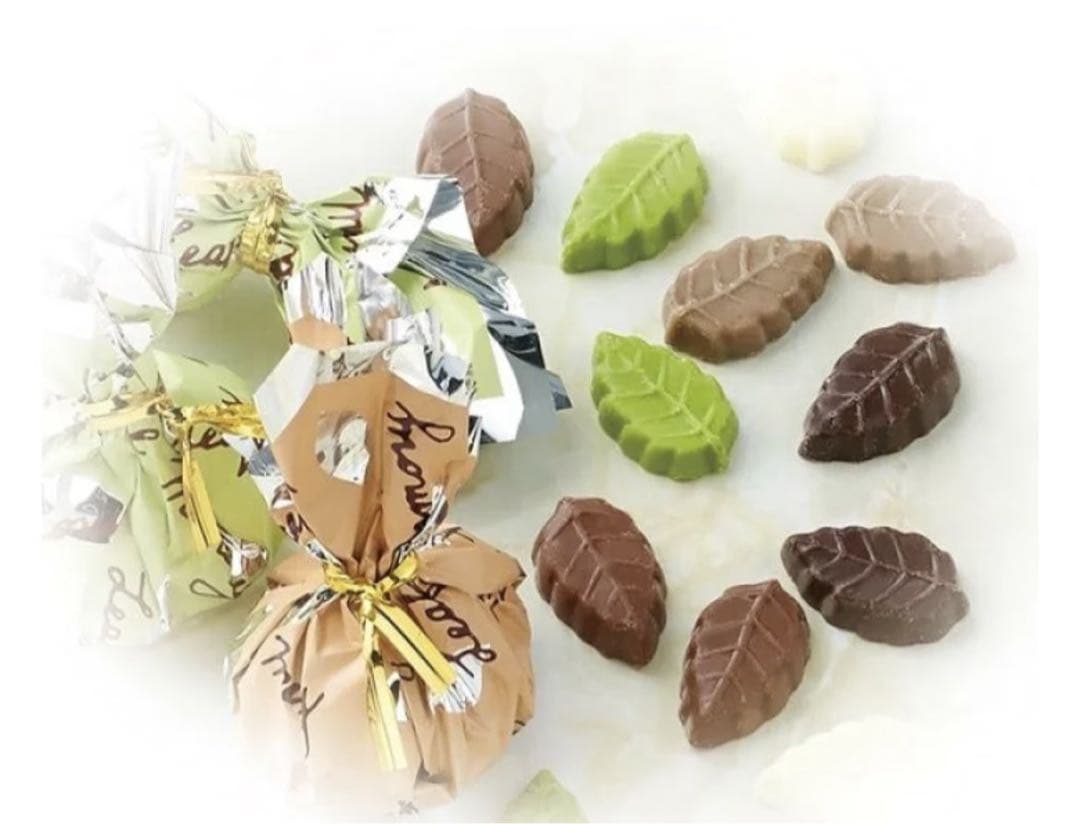 【セラッチ】モンロワール　リーフメモリー　徳用チョコ5袋　ショップ紙袋2枚