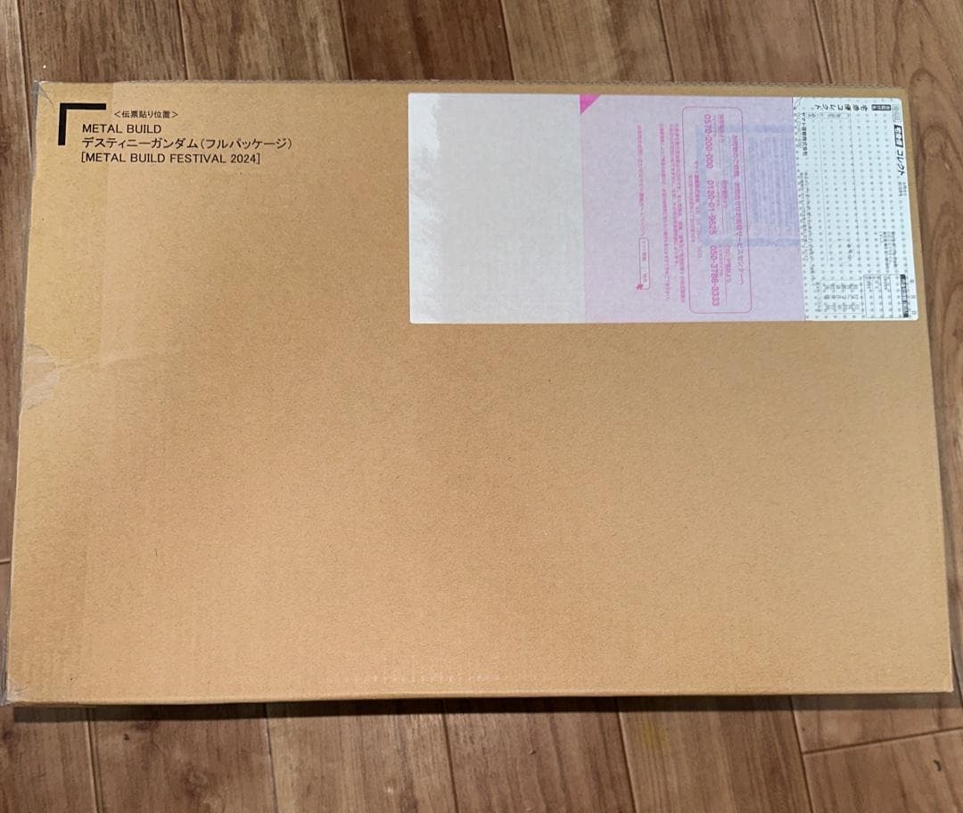 初*カ様 L BUILD デスティニーガンダム（フルパッケージ）