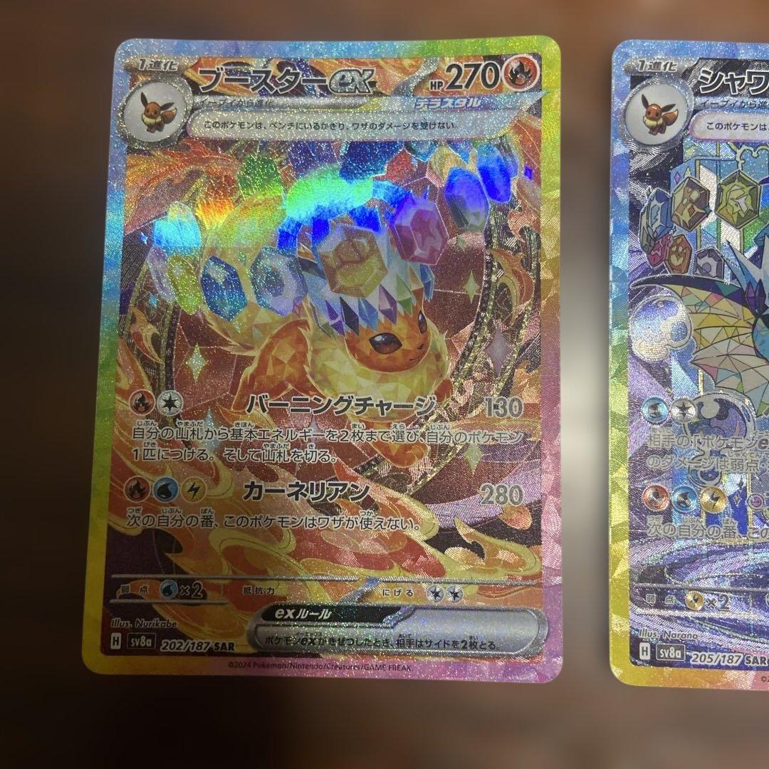 テラスタルフェスex ブイズ sar 10種類 コンプ