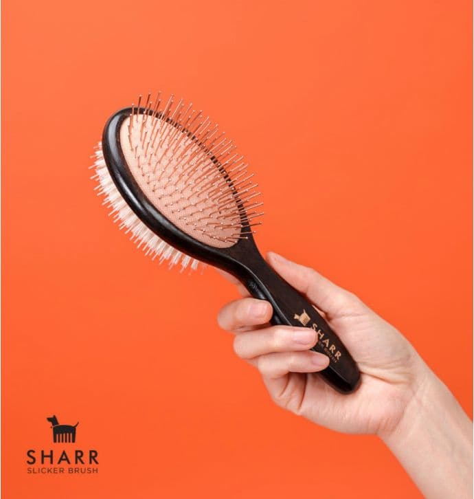 SHARR スリッカーブラシ 黒/オレンジ