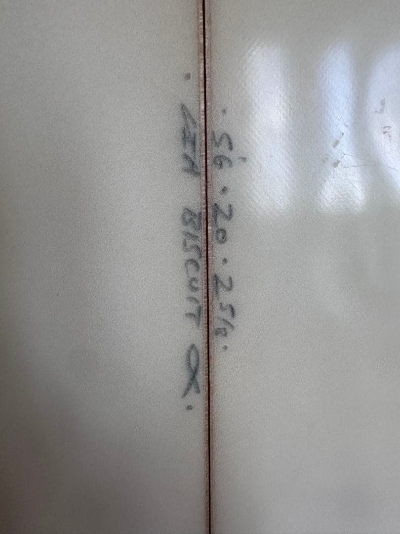 アルメリック チャンネルアイランズ ビスケット フィン付き　5.6