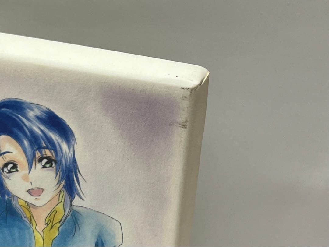 ガンダムSEED Destiny フィギュア　ラクス ＤＶＤＣＤプレステ２ソフト