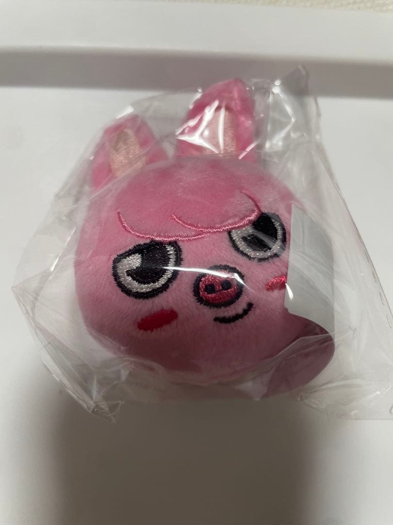 straykids スキズ skzoo ぬいぐるみマグネット コンプリート　新品