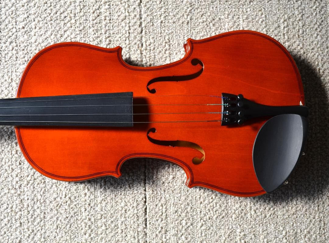 【未使用】ノンブランド練習用　バイオリンセット4/4　格安