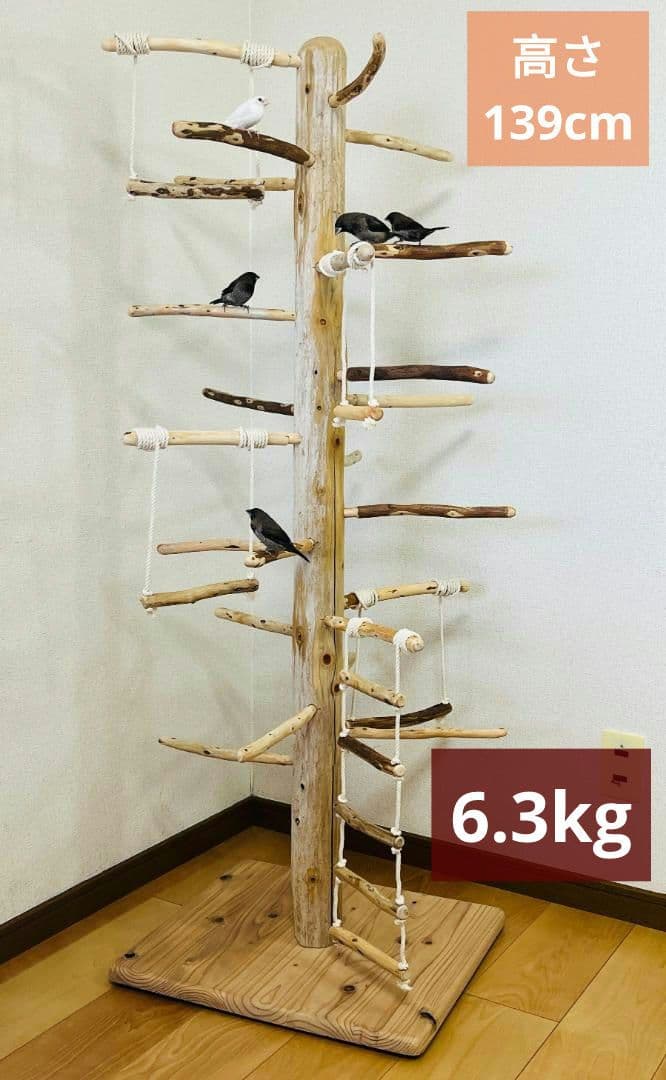 【中型鳥用】ブランコ＆はしごで楽しいバードアスレチック