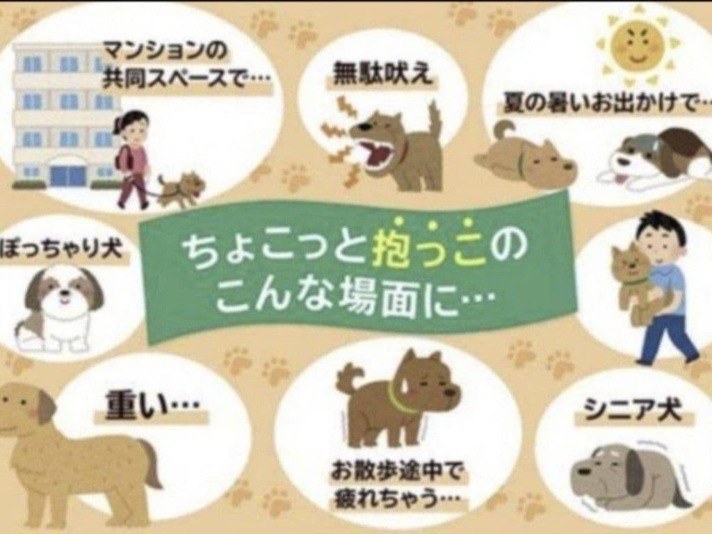 ザ・グリーディードッグ ヒップシート ちょい乗せできるお散歩ポーチ　ブラック