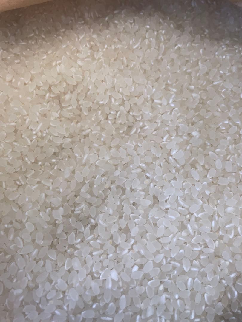 宮城県産　令和7年　ひとめぼれ 玄米　３０キロ