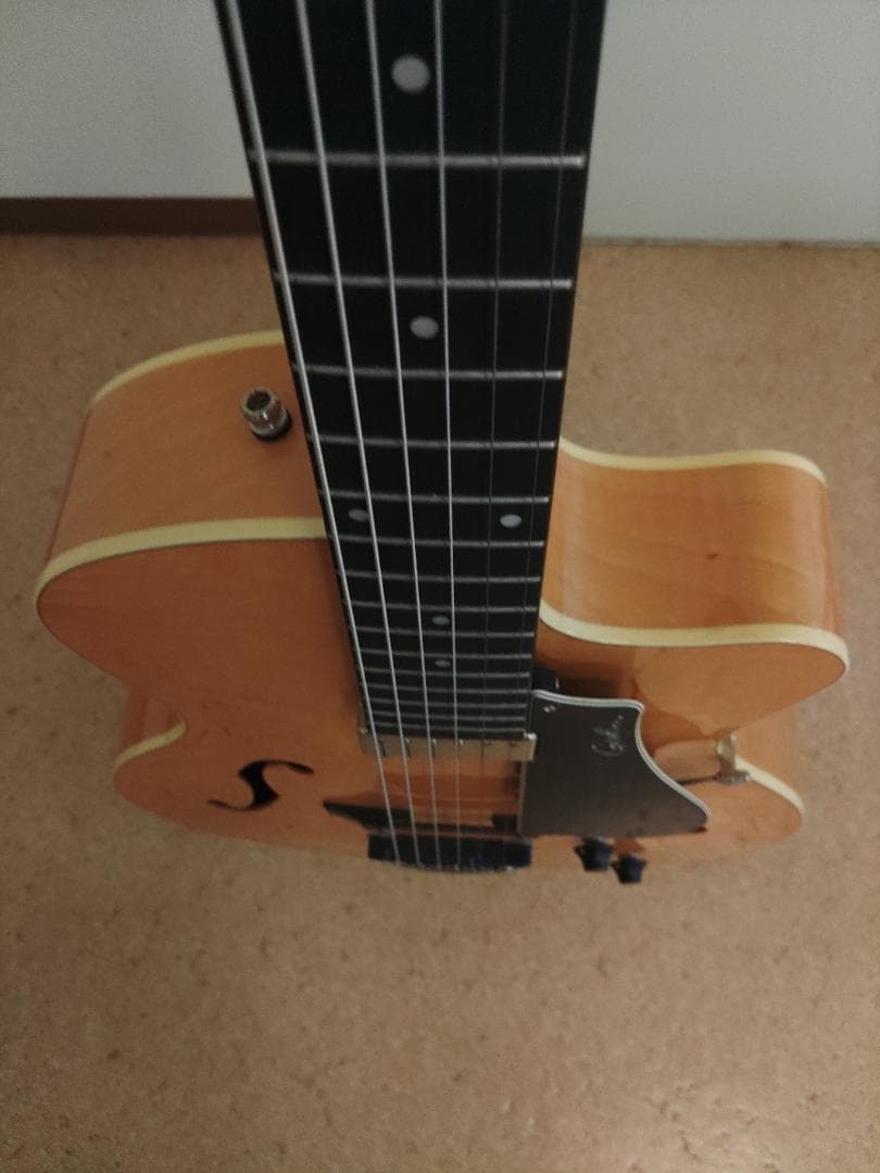 Godin (ゴダン) ： 5th Avenue Jazz / フルアコ・ギター