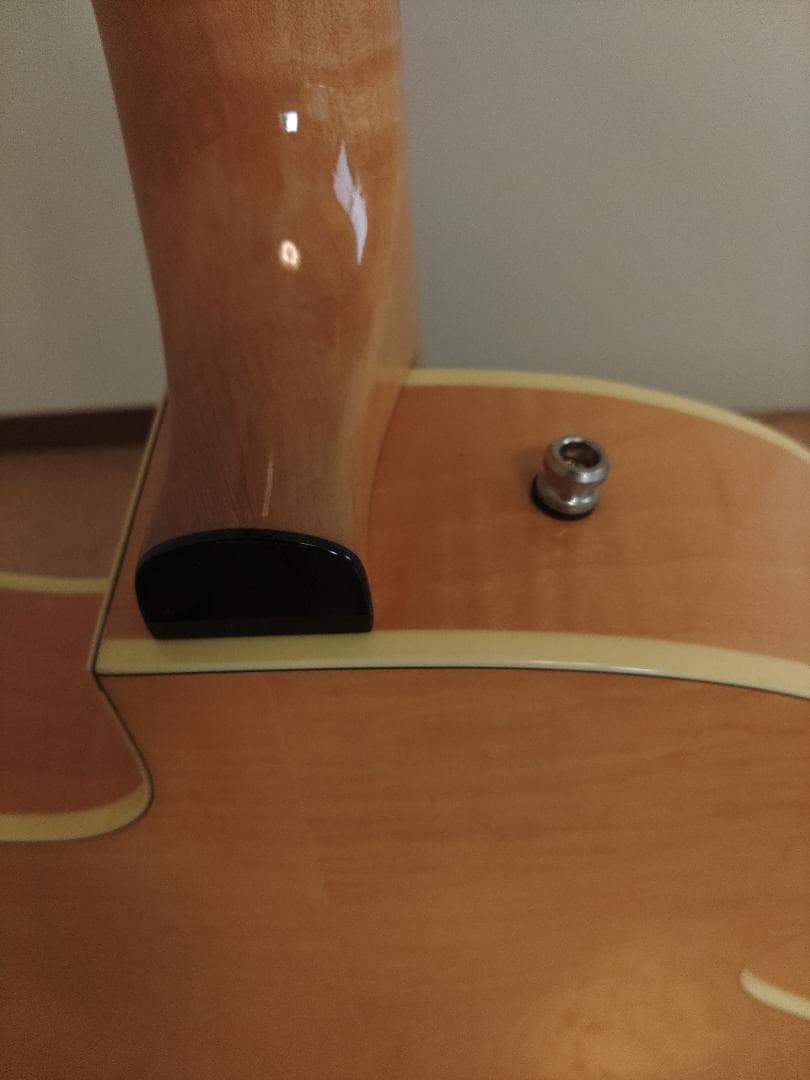 Godin (ゴダン) ： 5th Avenue Jazz / フルアコ・ギター