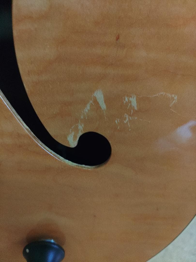 Godin (ゴダン) ： 5th Avenue Jazz / フルアコ・ギター