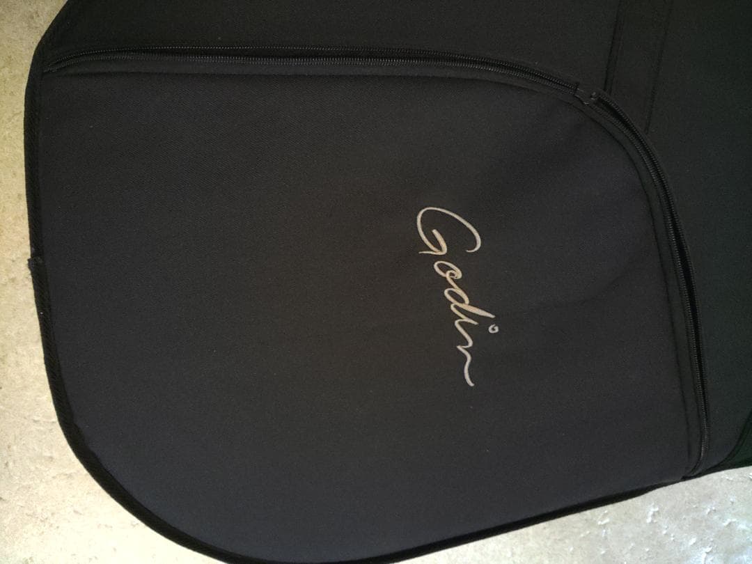 Godin (ゴダン) ： 5th Avenue Jazz / フルアコ・ギター