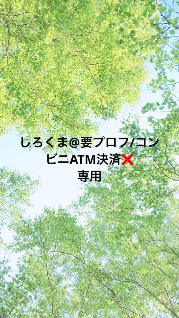 しろくま@要プロフ/コンビニATM決済❌
