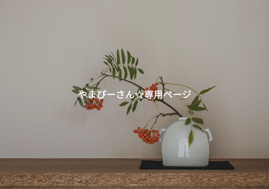 やまぴーさん☆専用ページ