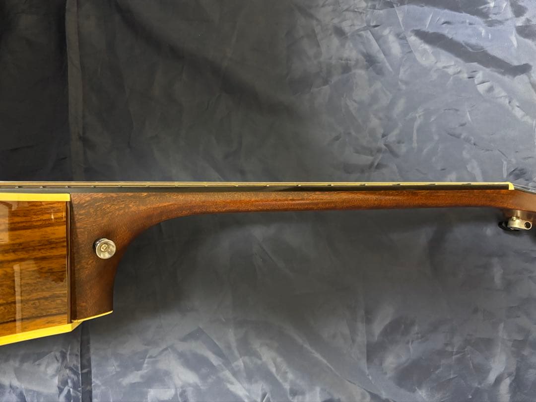 本日明日中金額 Breedlove Premier Concert CE USA