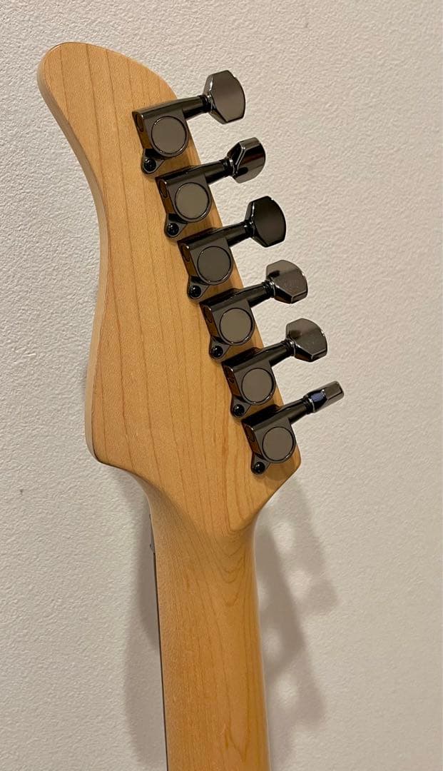 FERNANDES FR-55S エレキギター ソフトケース付