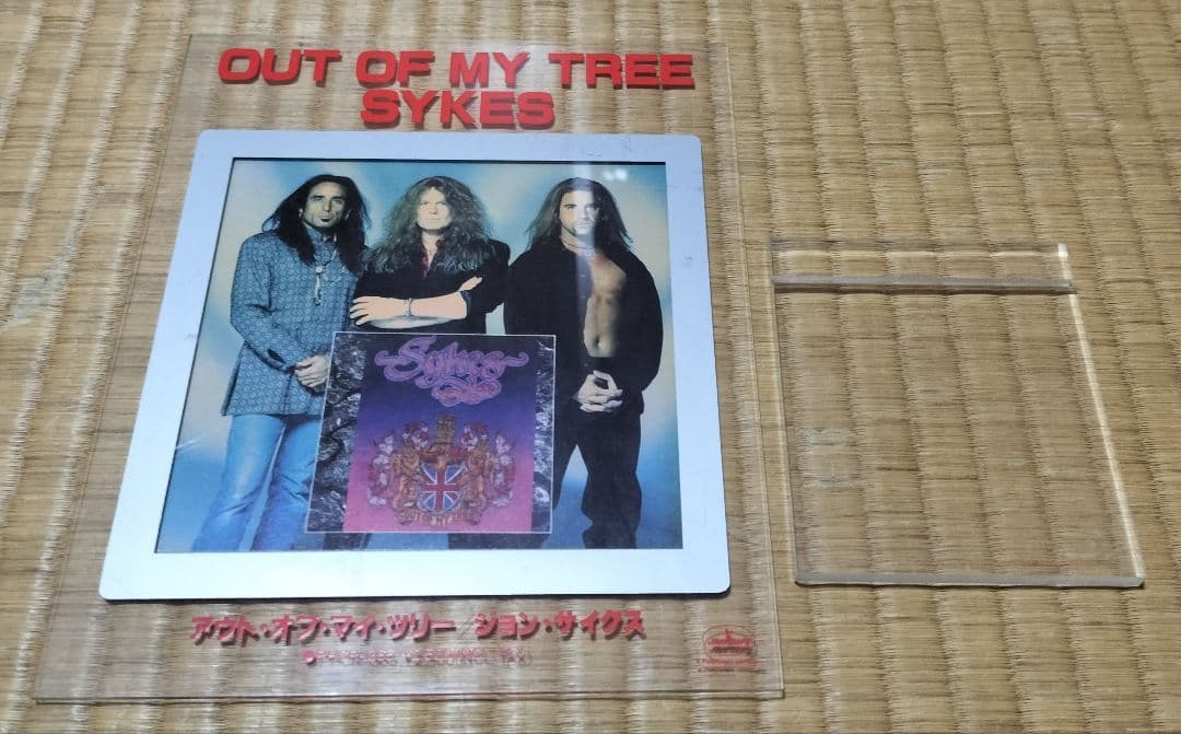 OUT OF MY TREE / SYKES アクリルスタンド