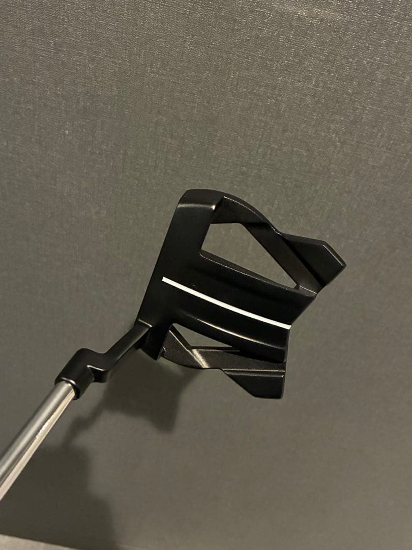 Cobra KING スティングレー20