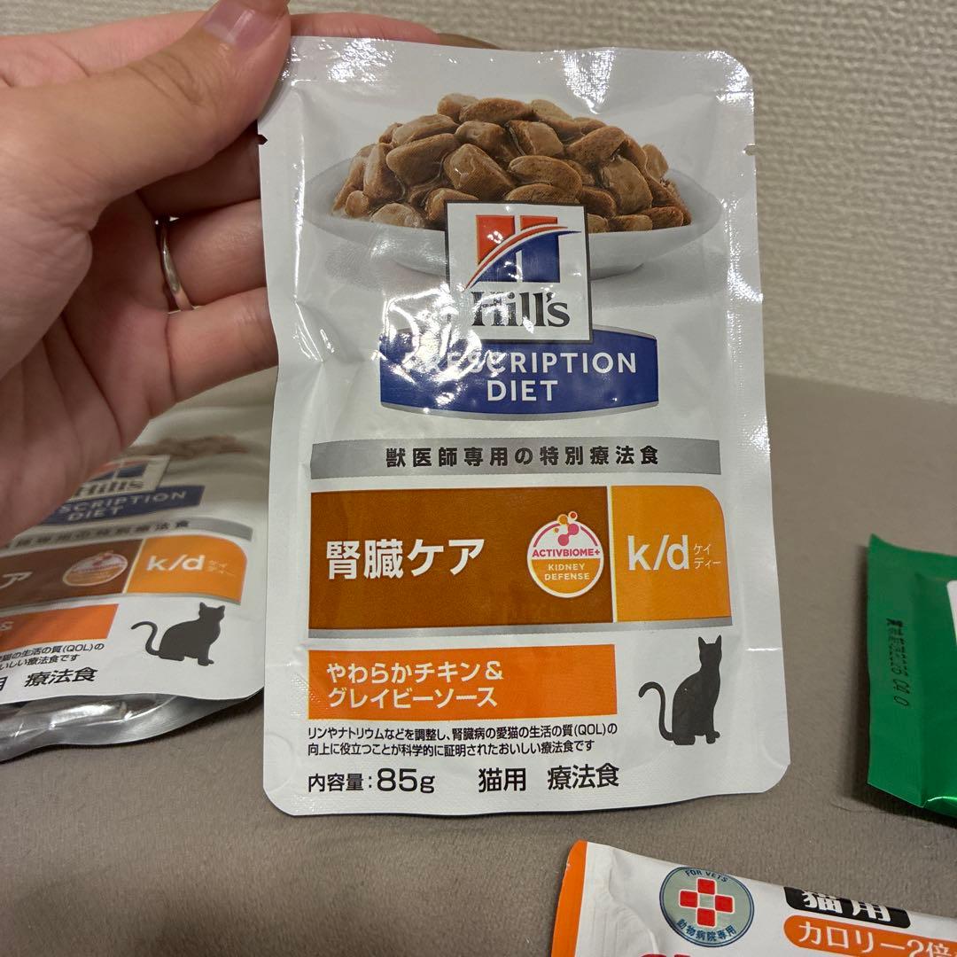 ヒルズ　腎臓ケア　4kg （9割残）　パウチ　その他セット