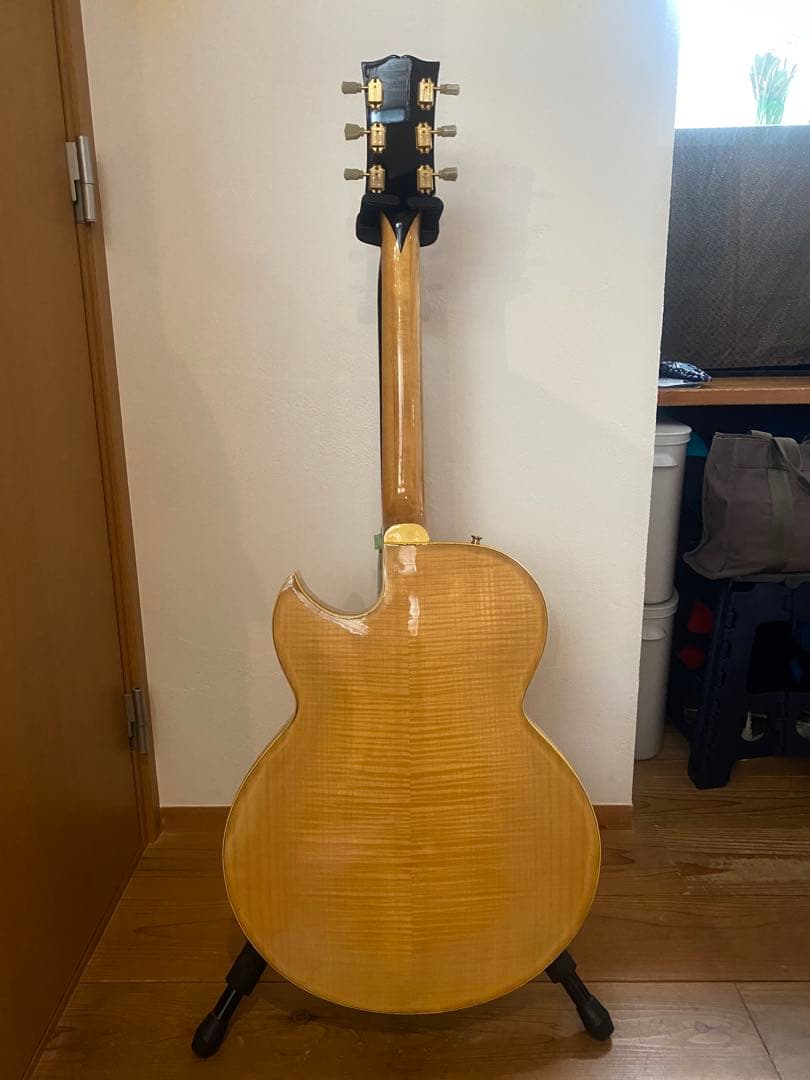 Greco / BR-110N Birdland ステッカーナンバードPAF搭載