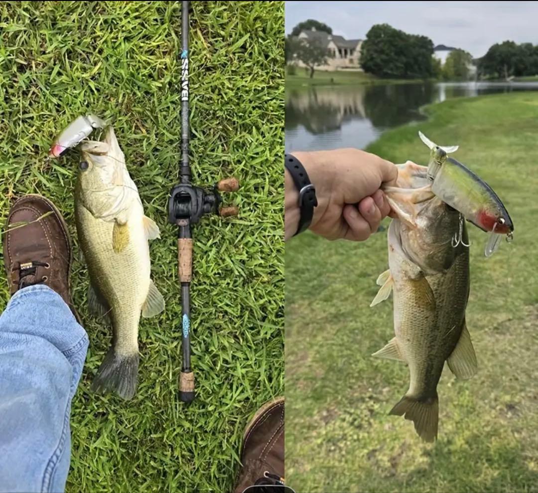 チャイニークラッシュ リアルホログラムカラーその他 9点 バラ売り可⭕️