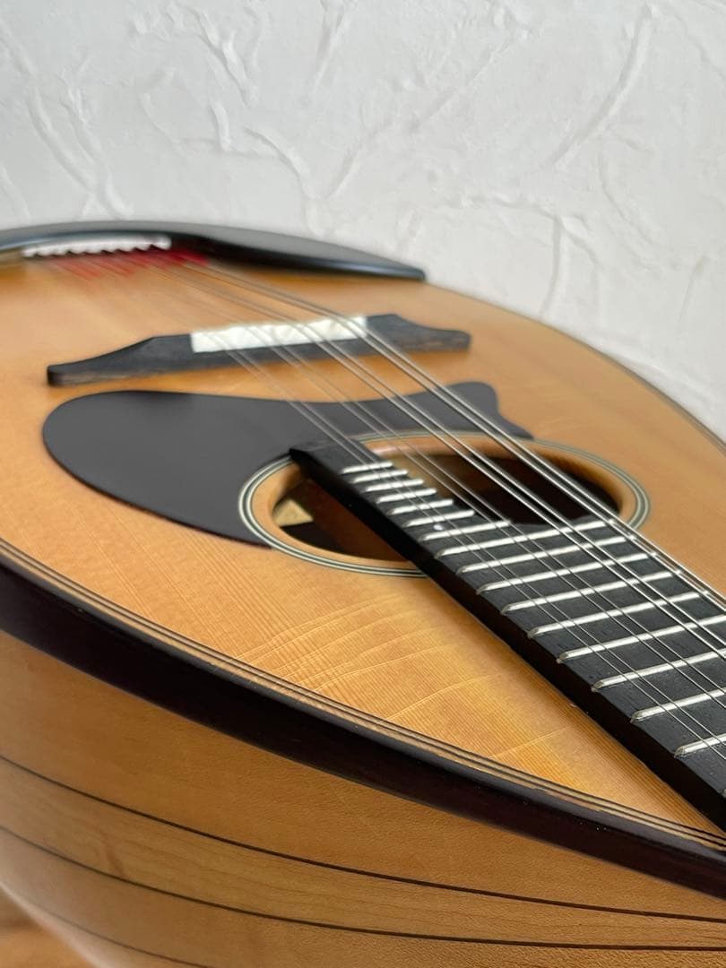 Ena Mandolin 恵那マンドリン EM-40