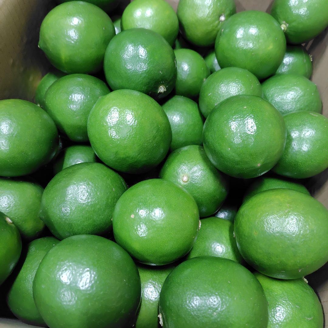 【ꕤ224】熊本県産『優品』20kg マイヤーレモン (国産グリーンレモン)