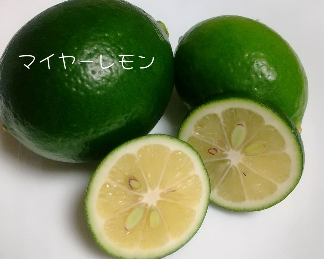 【ꕤ224】熊本県産『優品』20kg マイヤーレモン (国産グリーンレモン)