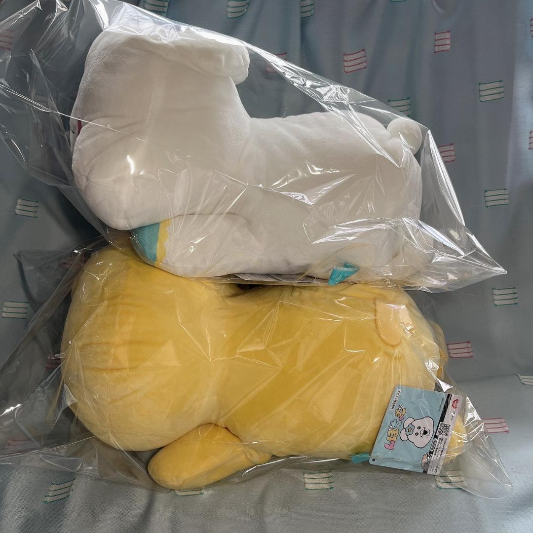 【んぽちゃむ】いっしょにねんね BIG ぬいぐるみ 2種 ×5セット（10体）