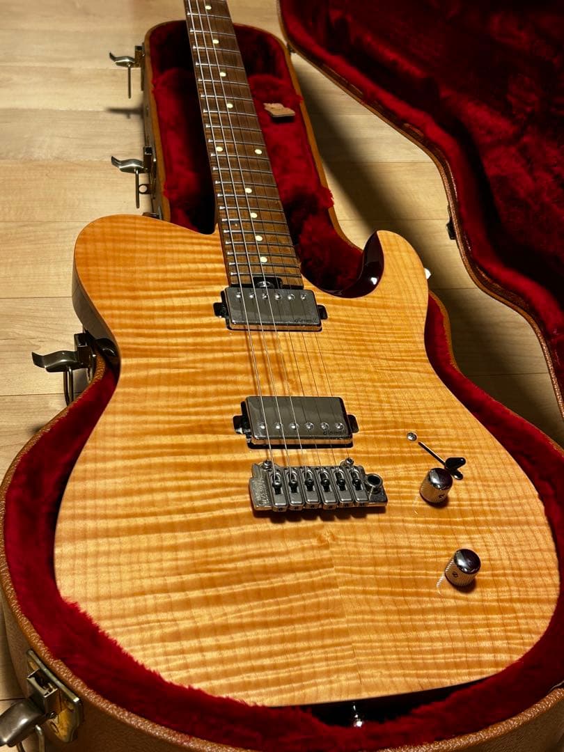 ギター Harley Benton Fusion-T HH Roasted