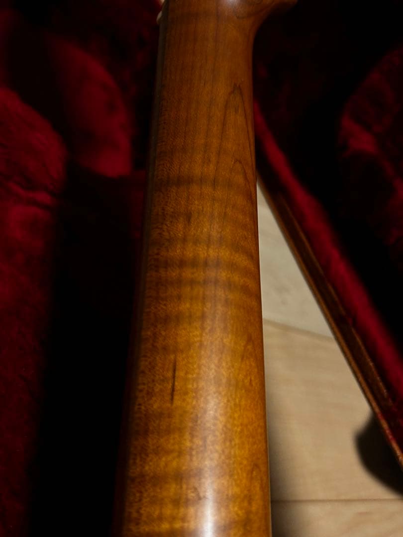 ギター Harley Benton Fusion-T HH Roasted