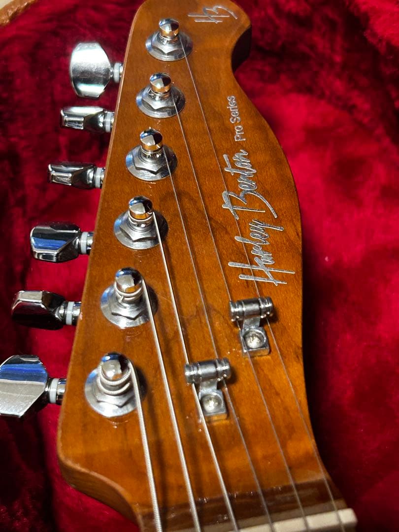 ギター Harley Benton Fusion-T HH Roasted