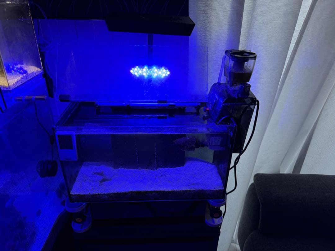 グラステリアアグス450とライトとスキマー引き取り限定