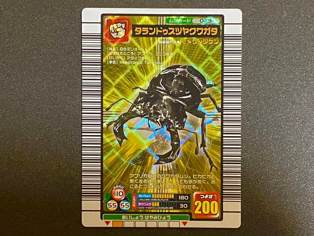 ☆ムシキング☆2005ファースト★タランドゥスツヤクワガタ★未使用品☆
