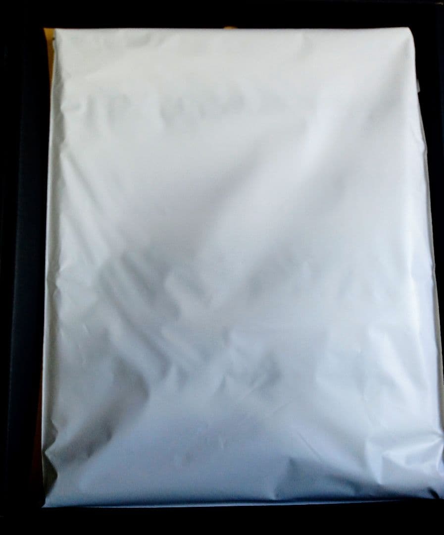 エヴァ Canvas Art(RADIO EVA)キャンバスアート アスカ 1