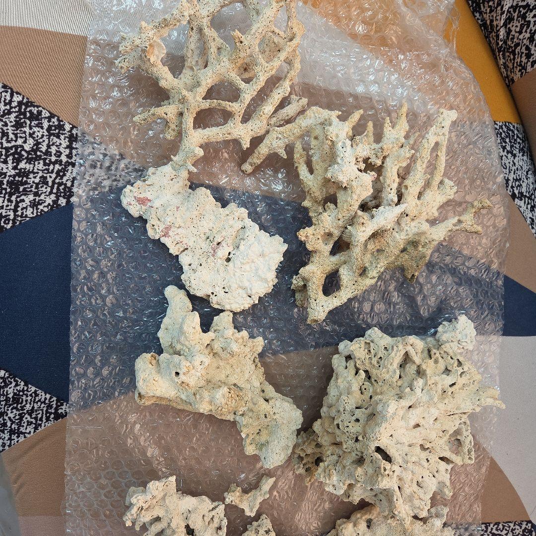 値下げ　水槽用サンゴ石セット　ライブロック　海水　淡水