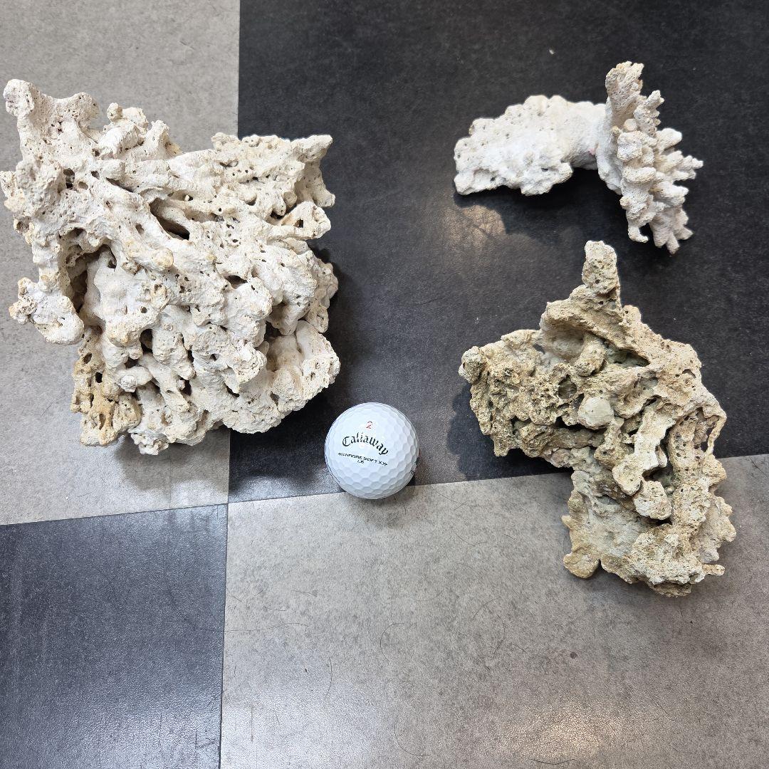 値下げ　水槽用サンゴ石セット　ライブロック　海水　淡水